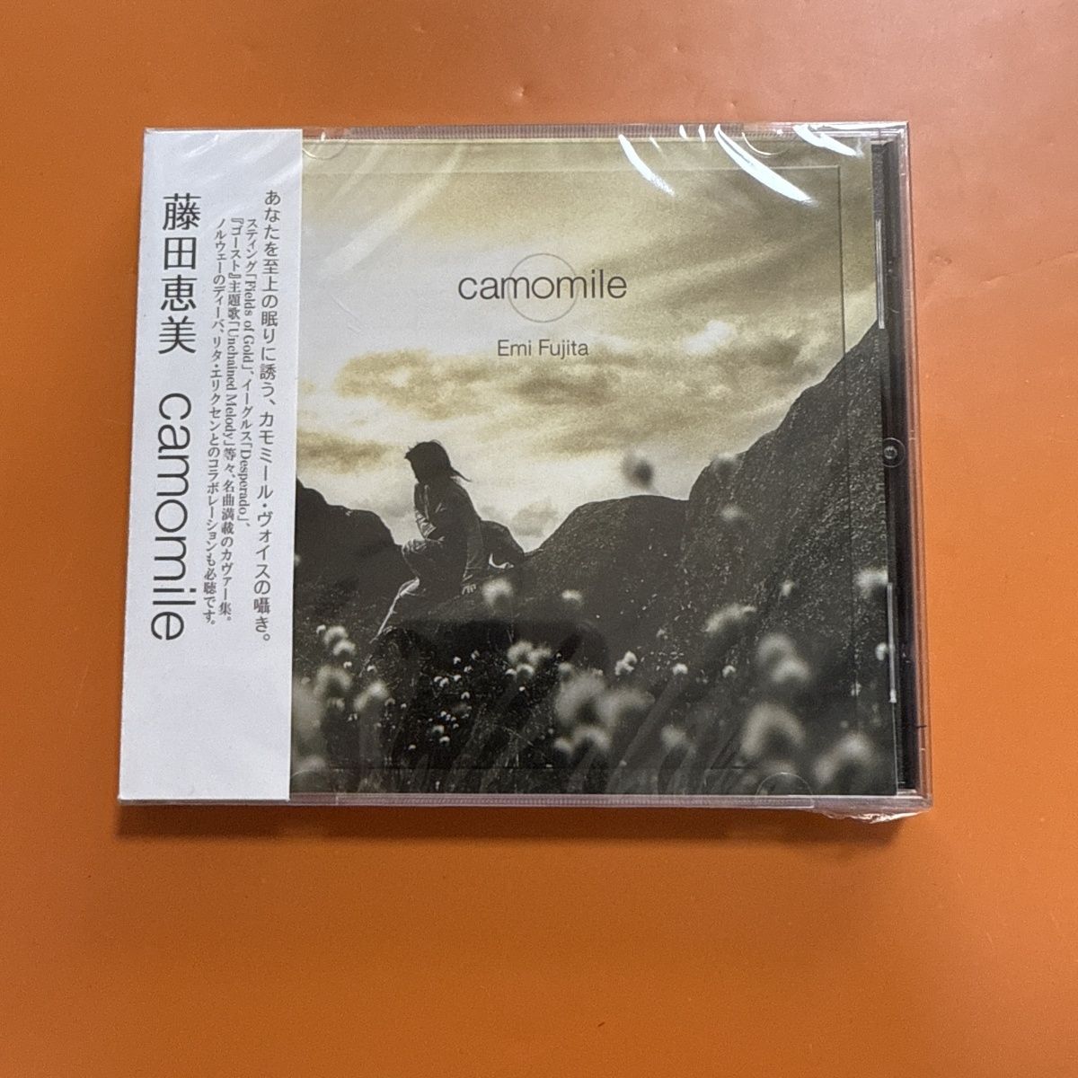 Musical Instrument In Japanese - CD de Folk Pop Japonês com