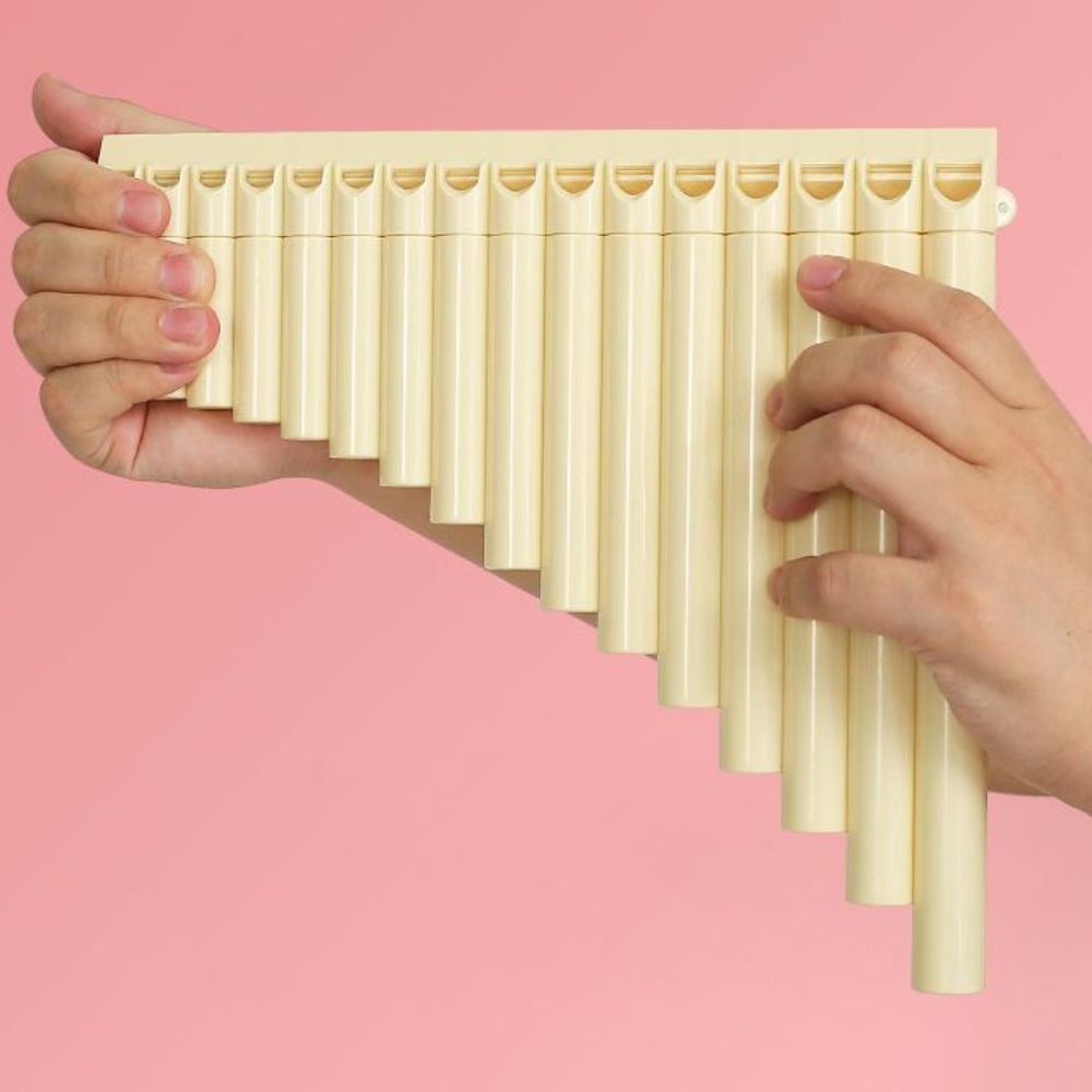 Flauta de boca profissional er - Musical Instrument Easy To Learn avaliação e preço