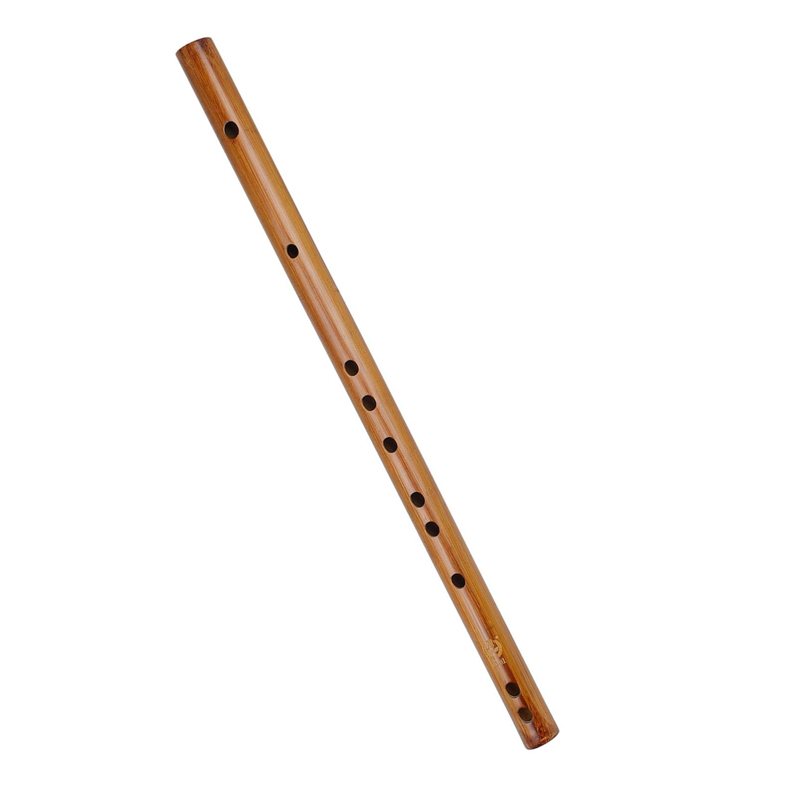 Presente de aniversário exclus - Musical Instrument Indian avaliação e preço