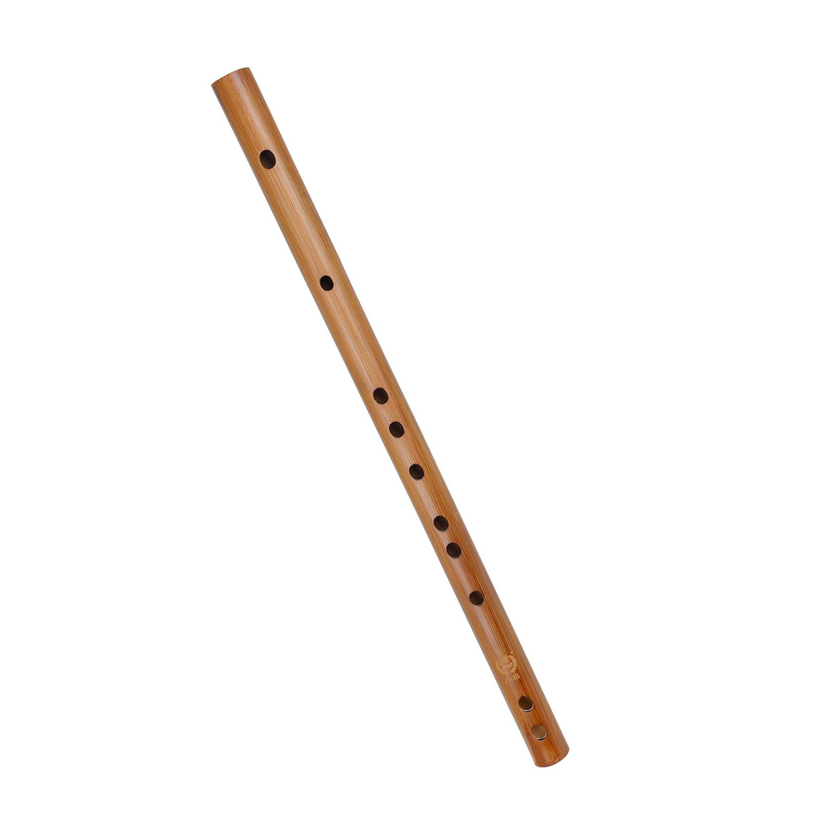 Presente de aniversário exclus - Musical Instrument Indian avaliação e preço