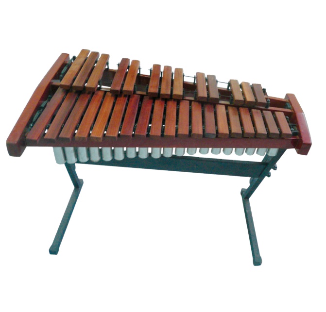 Xilofone Profissional de 32 To - Musical Instrument Xylophone avaliação e preço