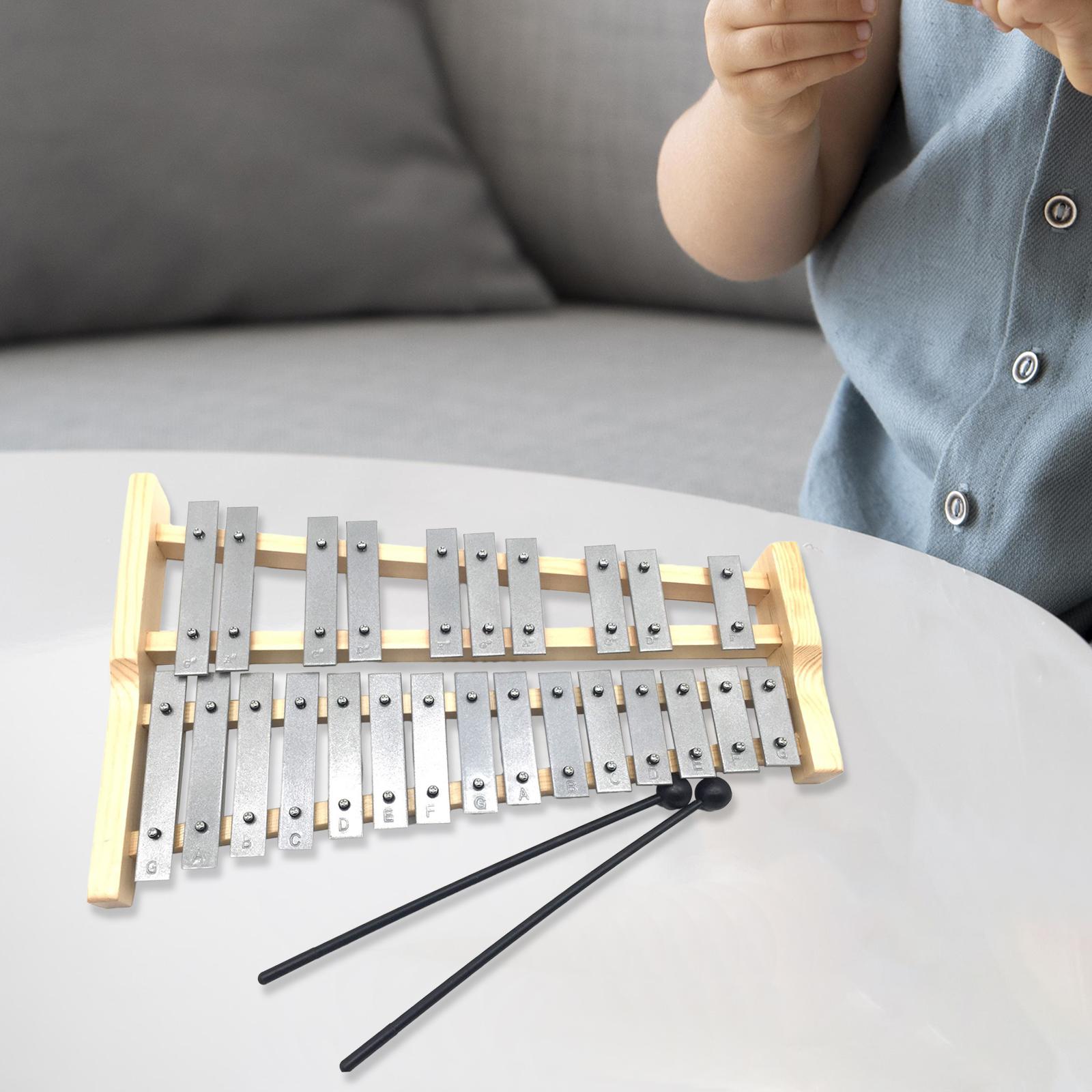 Xilofone de Metal com 25 Notas - Musical Instrument Xylophone avaliação e preço