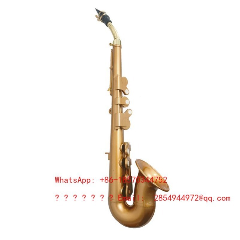 Saxofone de Resina Instrumento - Musical Instrument Easy To Learn avaliação e preço