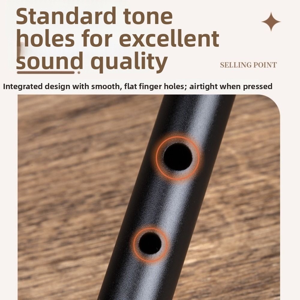 Flauta Irlandesa com 6 Furos e - Musical Instrument Easy To Learn avaliação e preço