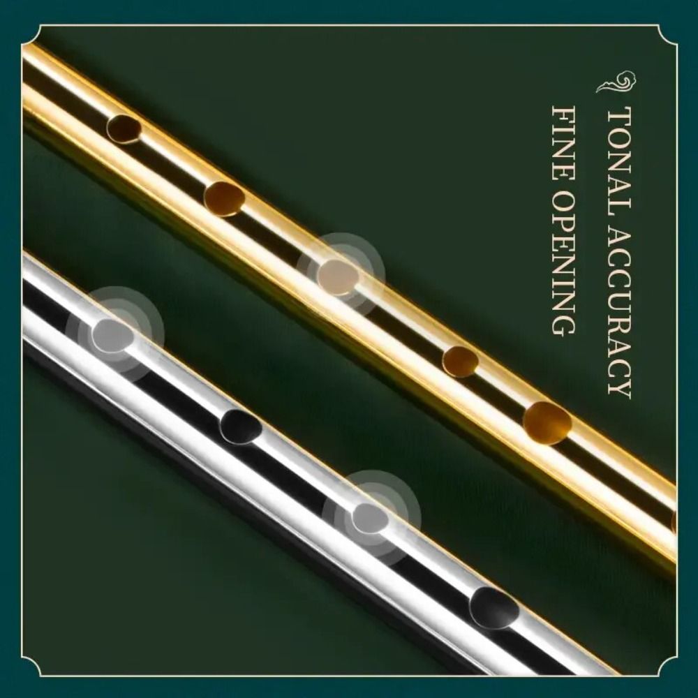 Flauta Irlandesa de 6 Furos em - Musical Instrument Easy To Learn avaliação e preço